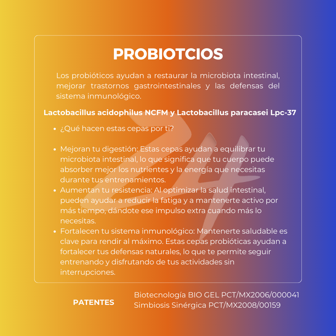 Zone 4 Multi Sabor Geles energéticos 12 pza
